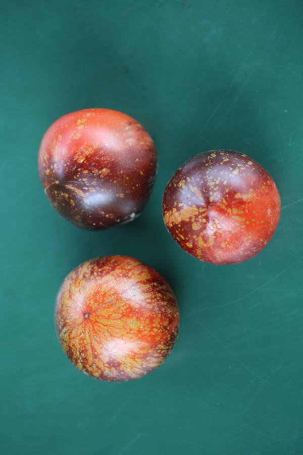 Solanum lycopersicum (Tomate, 'Dark Galaxy')