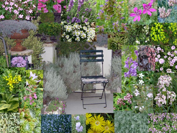 Mediterrane Terrasse