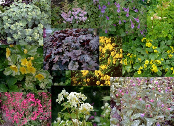 Schattendecke-Sortiment