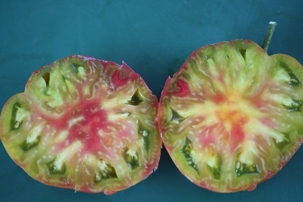 Solanum lycopersicum (Tomate, 'Ananas Noire')