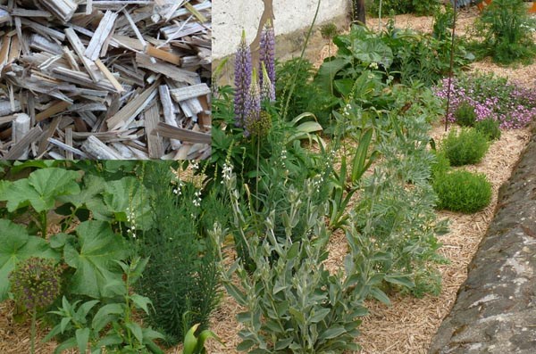 Miscanthus-Mulch 22 Kg Sack für 5-6m² Beetfläche