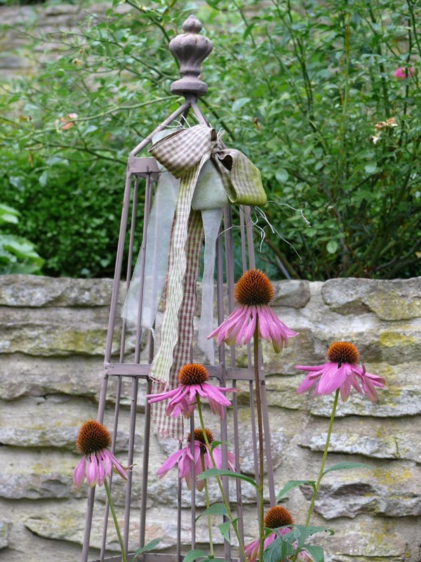 Echinacea purpurea 'Magnus' (Roter Sonnenhut)